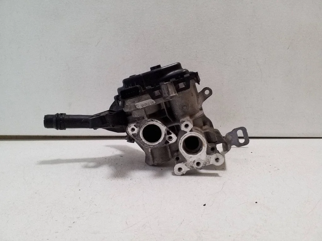 EGR-klapp 9807369980