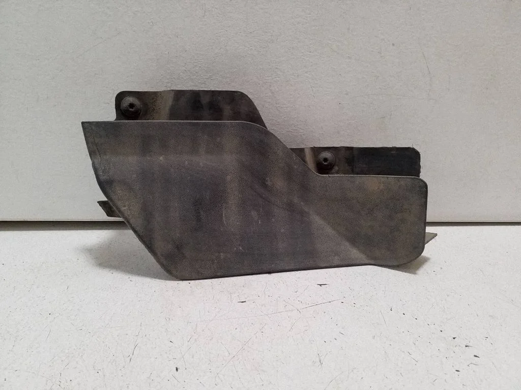 Rear mudguard – Cupra Born (2021-)