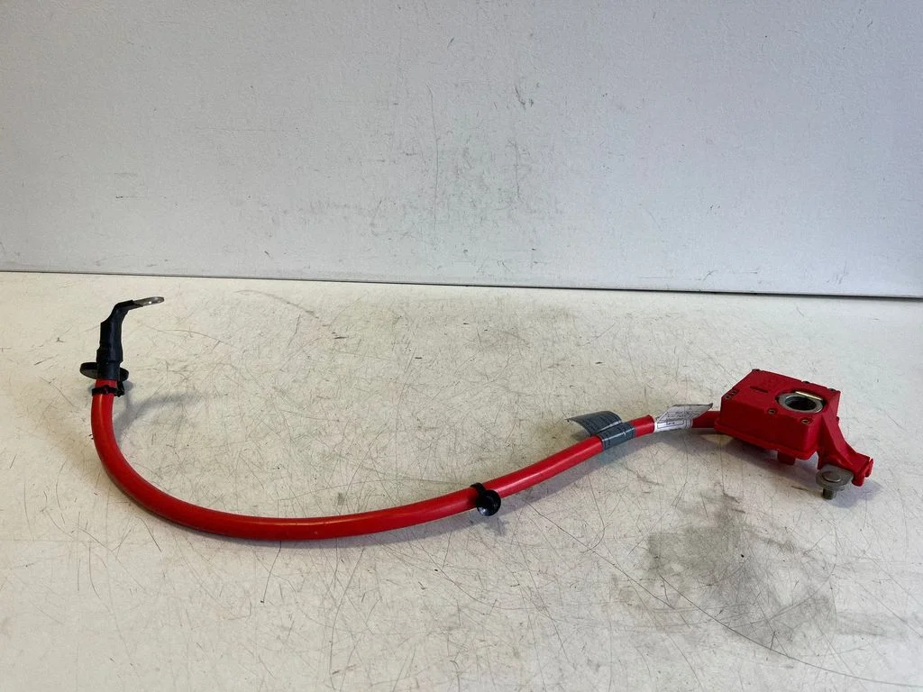 Plusa vads (akumulatora) – BMW X3 F25 (2010-2017)