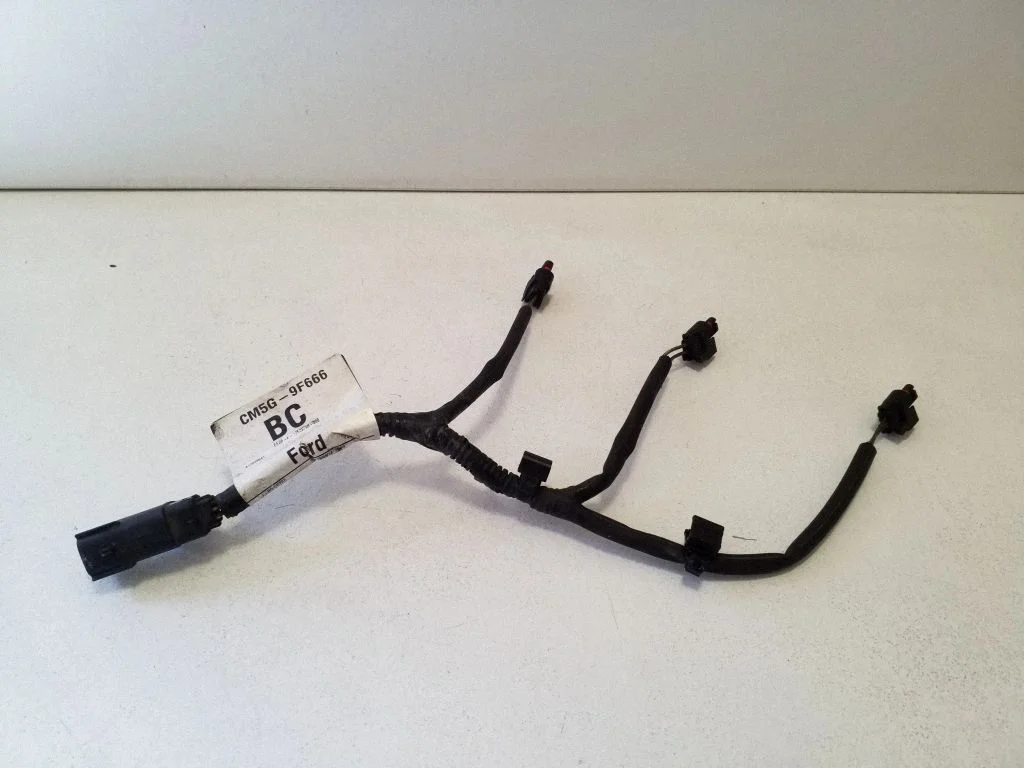 Fuel injector wires CM5G9F666BC