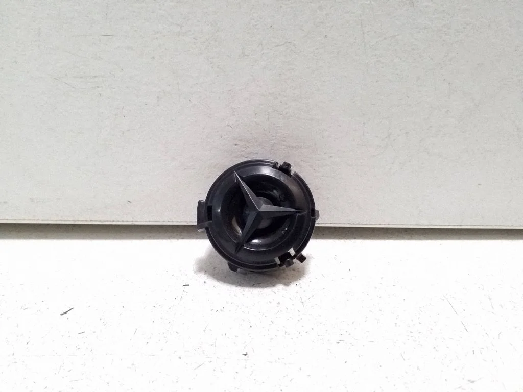Front door high frequency speaker A2228200076