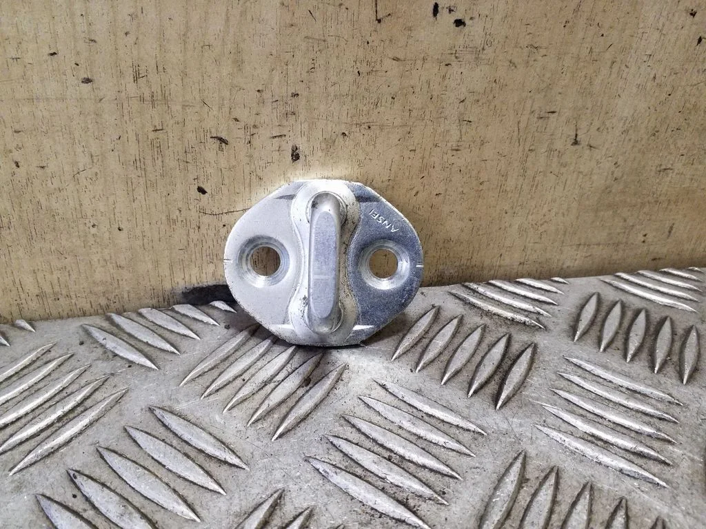 Kilpa galinio borto spynos