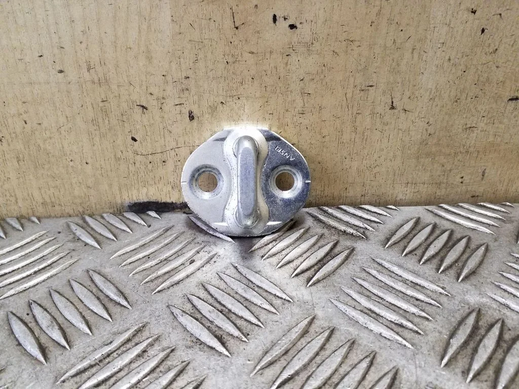 Kilpa galinio borto spynos