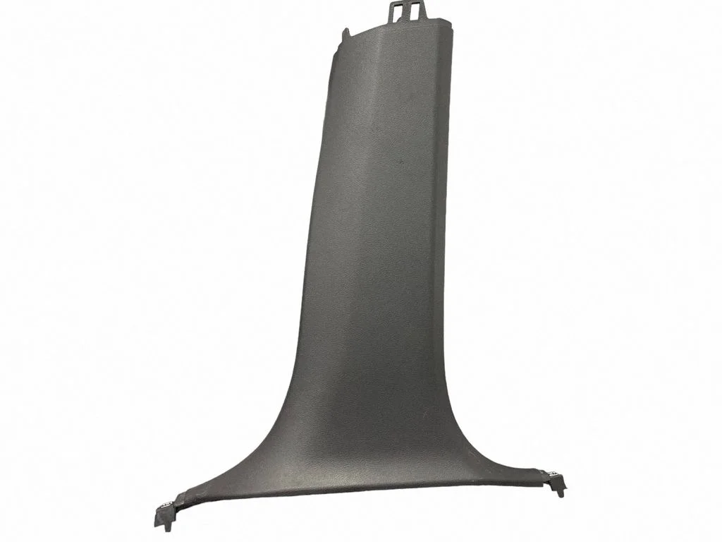 (B) pillar trim (bottom) 19184810