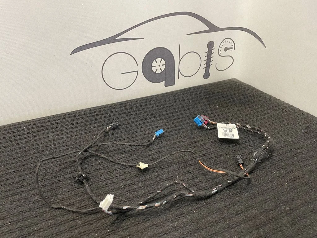 Front door wiring loom A1664406005