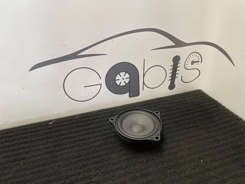Głośnik w drzwiach przednich 107974200A