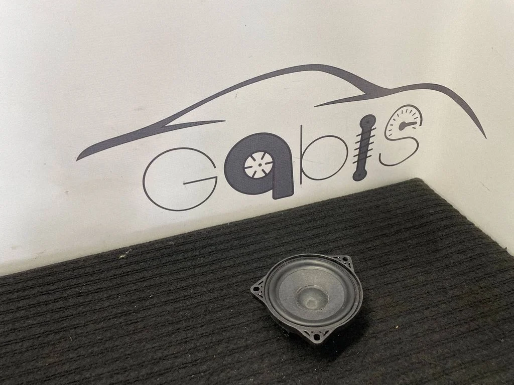 Front door speaker 107974200A