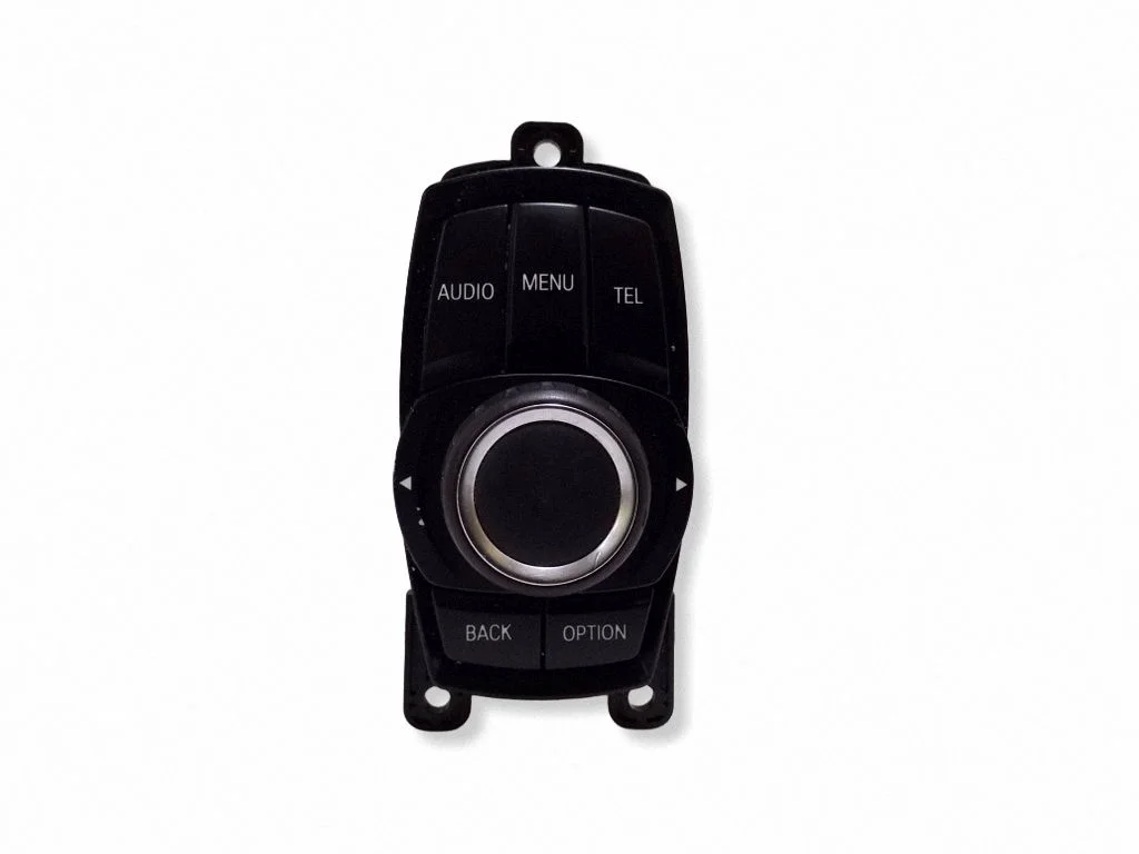Head unit multimedia control 9261704