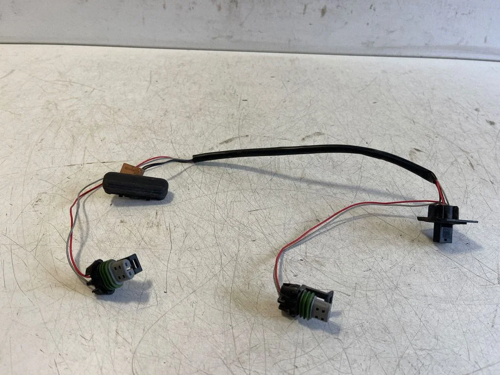 Tailgate opening switch 13359894