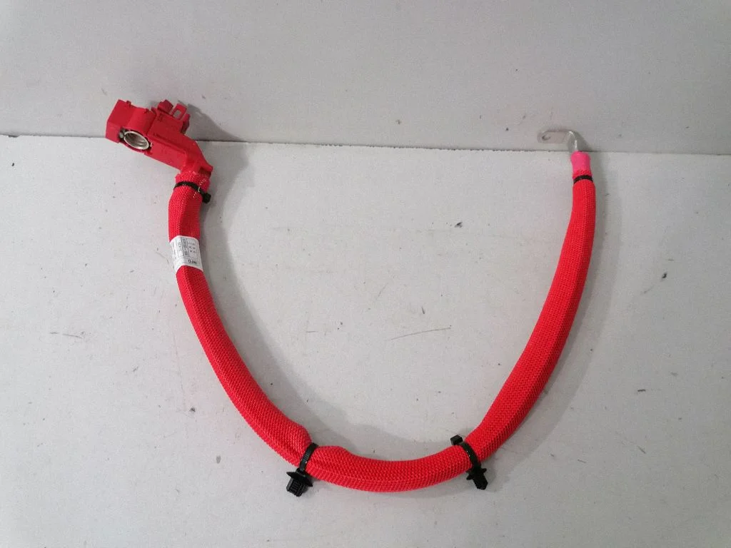 Plusa vads (akumulatora) – BMW X3 F25 (2010-2017)