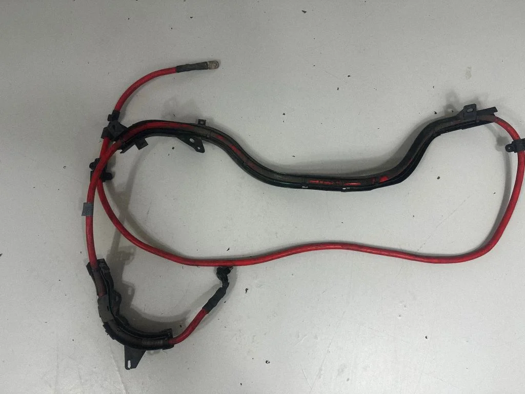 Positive wiring loom 9125035