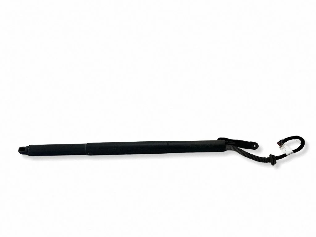 Tailgate strut 760827851