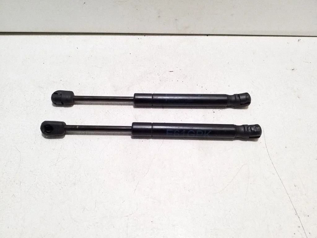 Tailgate strut 51477148826