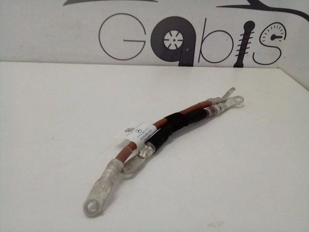 Other wiring loom A2145401017