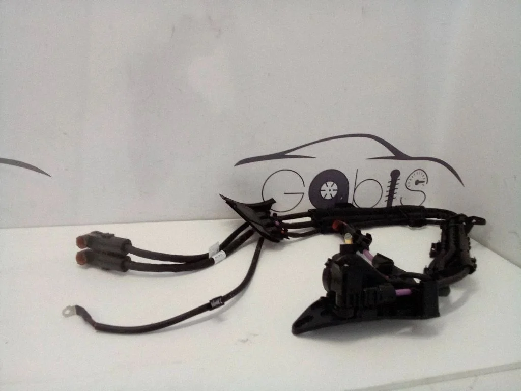 Other wiring loom A2065402000
