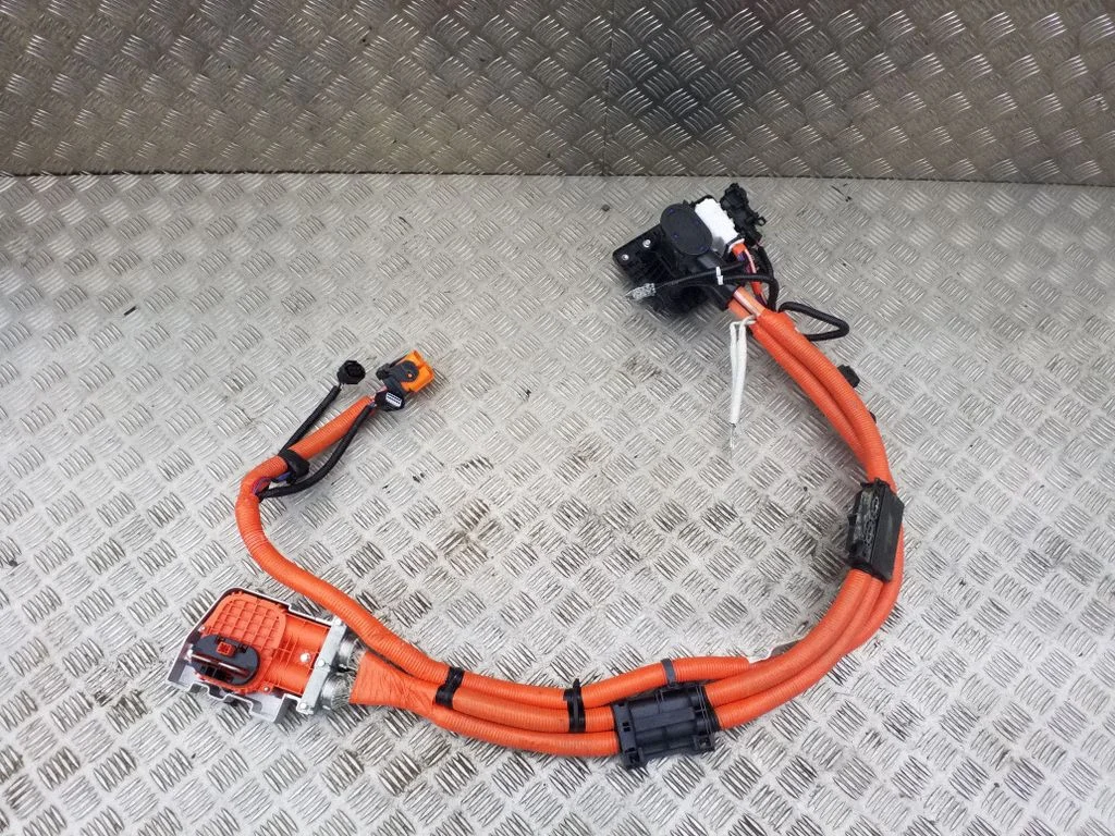 Elektromobilio įkrovimo lizdas