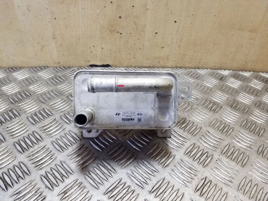 Elektromobilio variklio aušintuvas