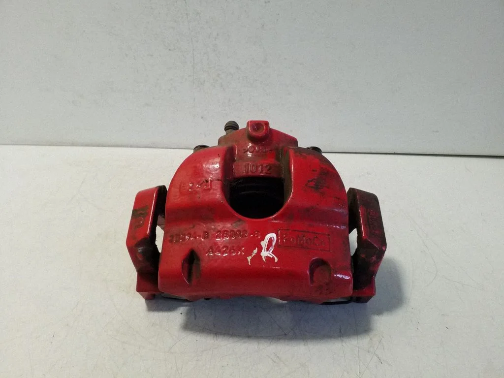 Front brake caliper 2B294B