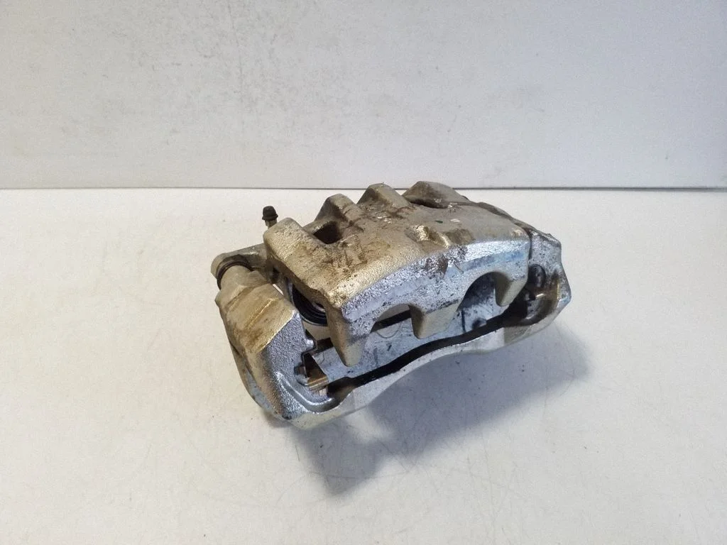 Esimene pidurisadul 390219
