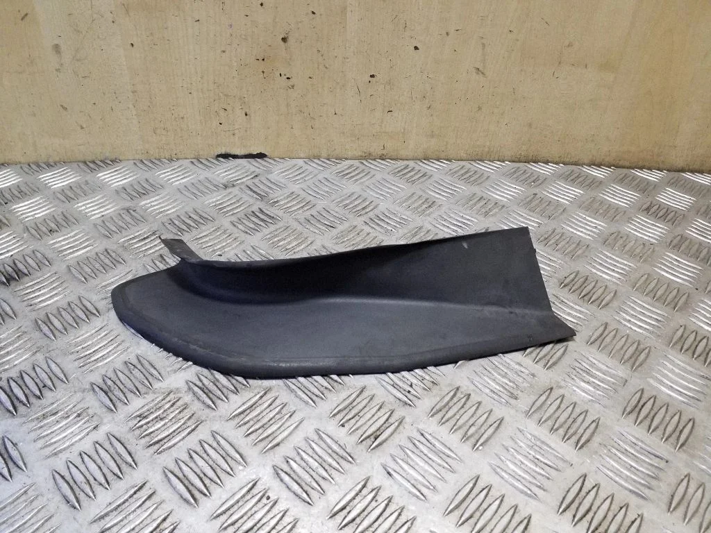 Rear/tail light trim molding 51497204375