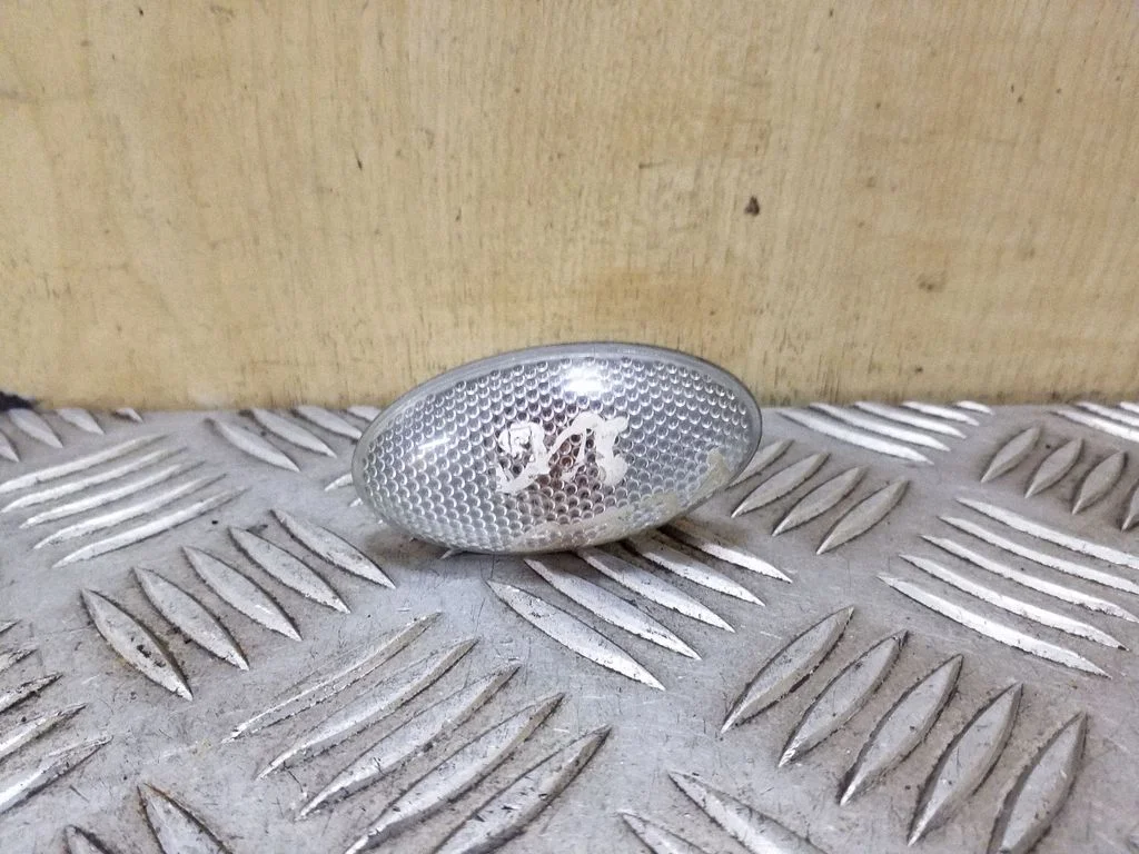 Front fender indicator light