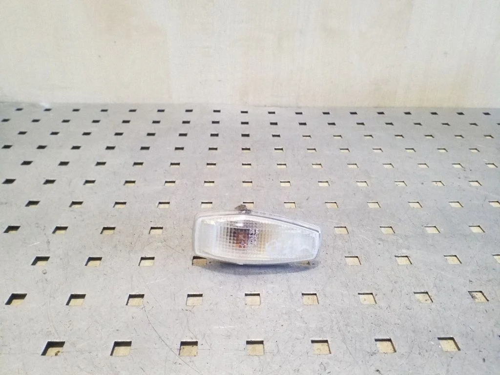 Front fender indicator light 923043B1