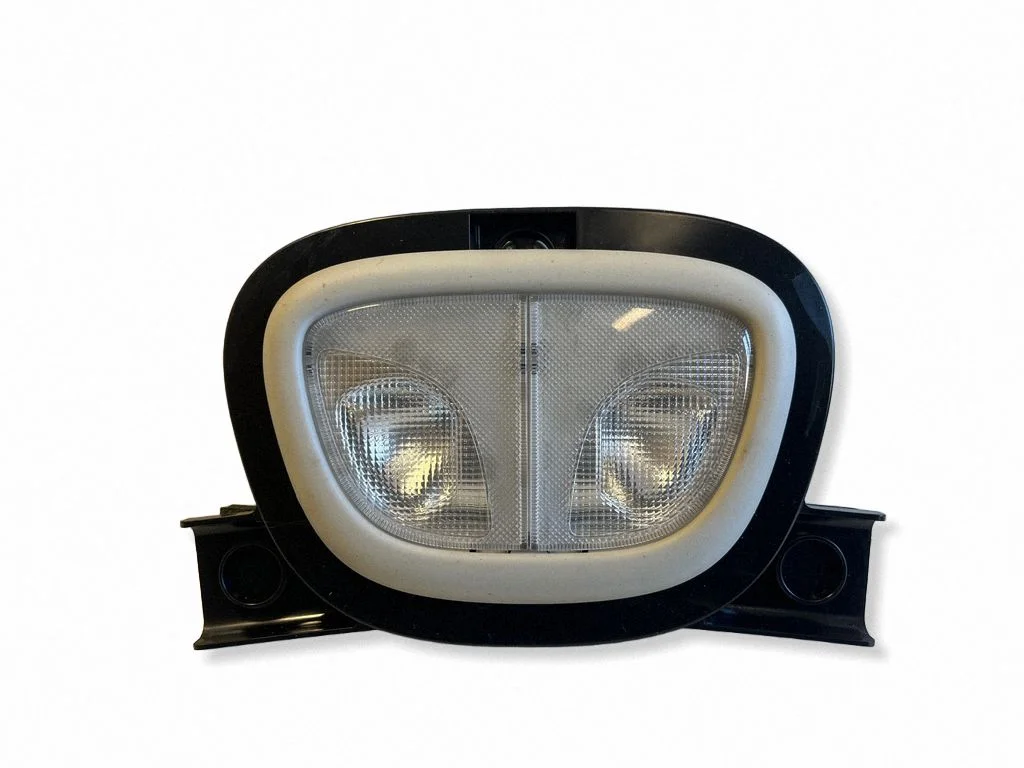 Rear seat light
