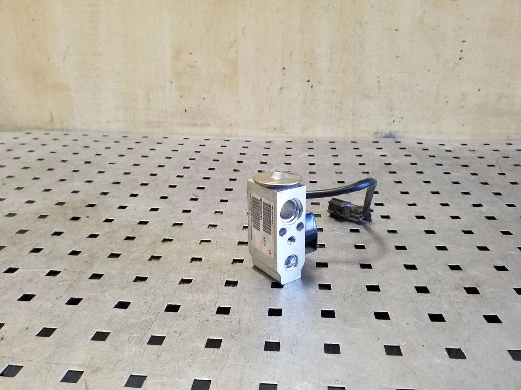 Air conditioning (A/C) expansion valve 101954400A