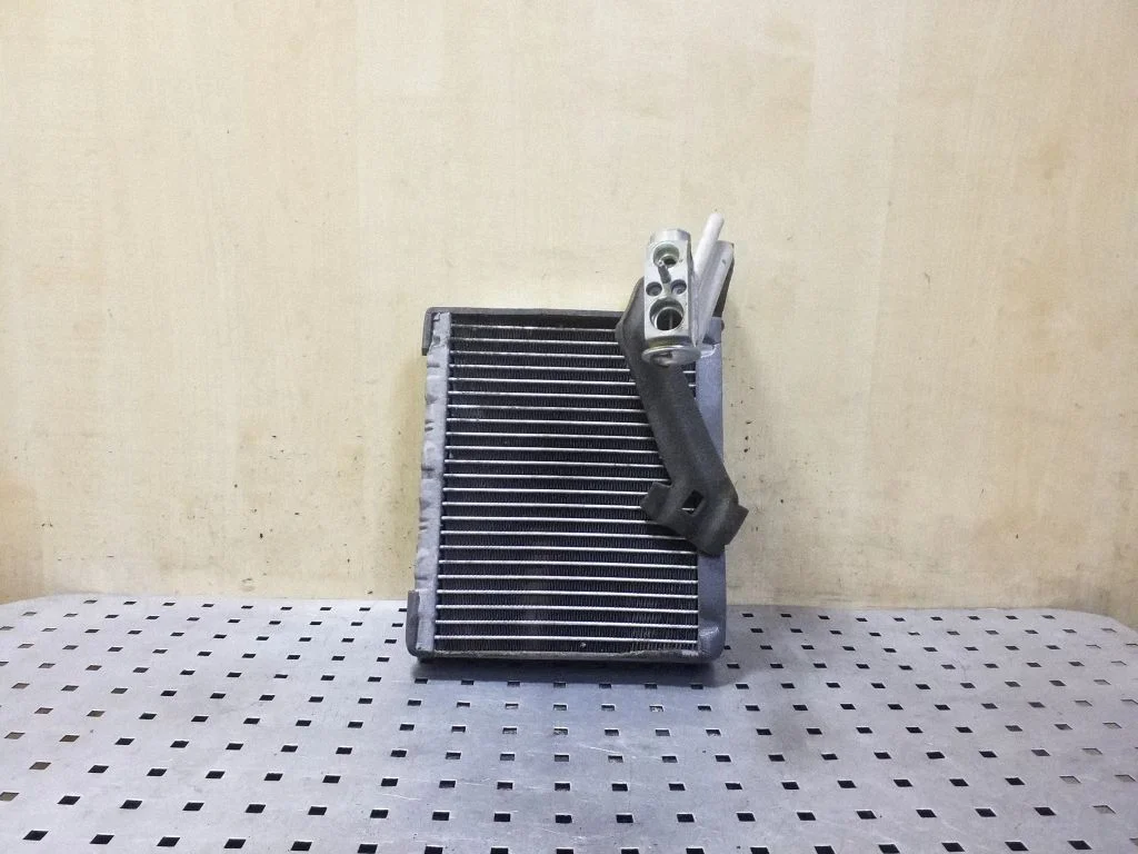 Air conditioning (A/C) radiator (interior) H8189