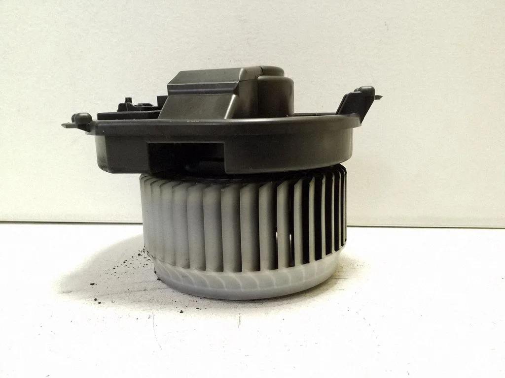 Heater fan/blower 1035900023