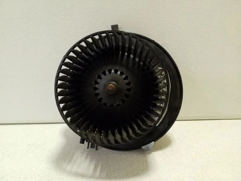 Salongipuhur 3Q1819021