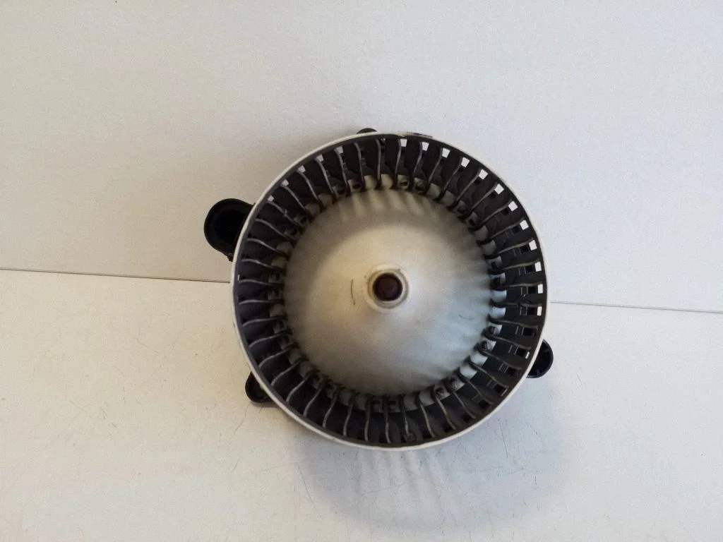 Salongipuhur AV1119846BB