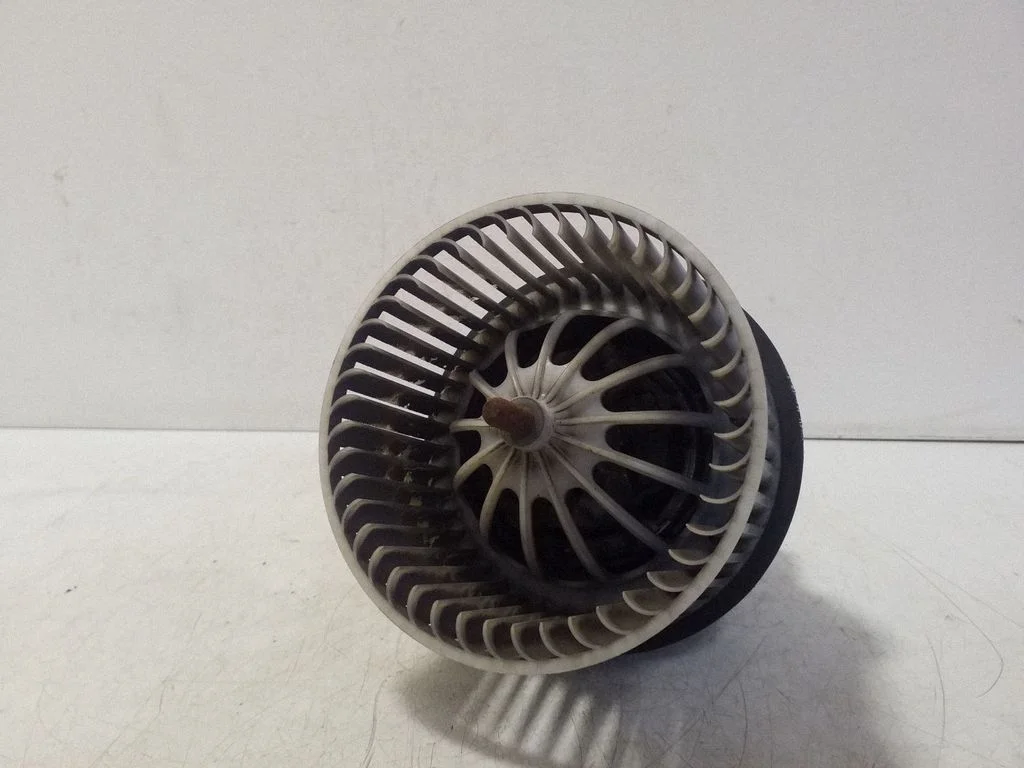 Salongipuhur 6G9N18D413AA
