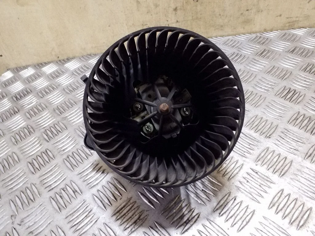 Dmuchawa nawiewu T1013084T
