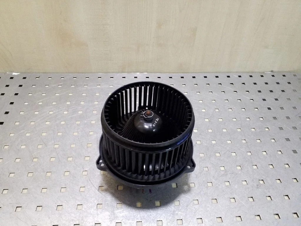 Heater fan/blower