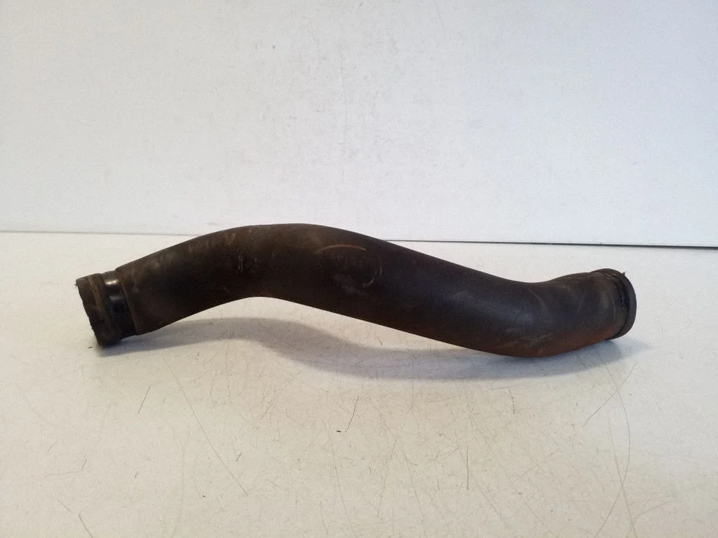 Engine coolant pipe/hose 00520460260