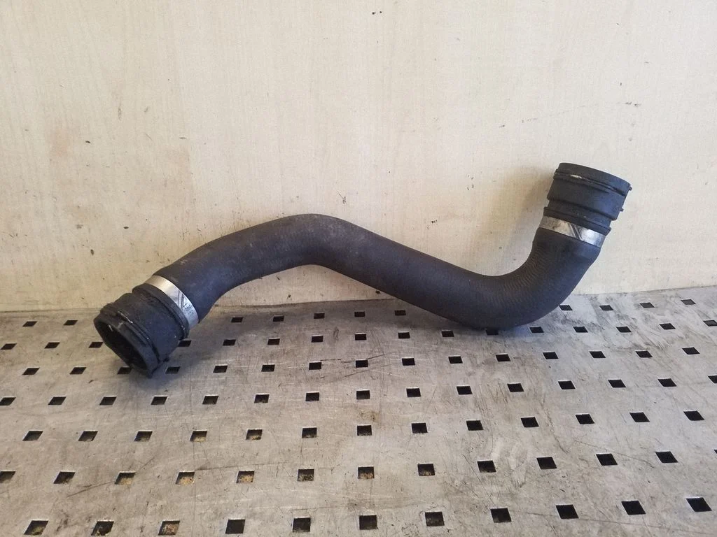 Engine coolant pipe/hose 17123421987