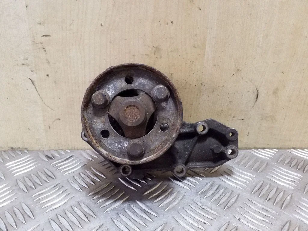 Veepump 8200419029