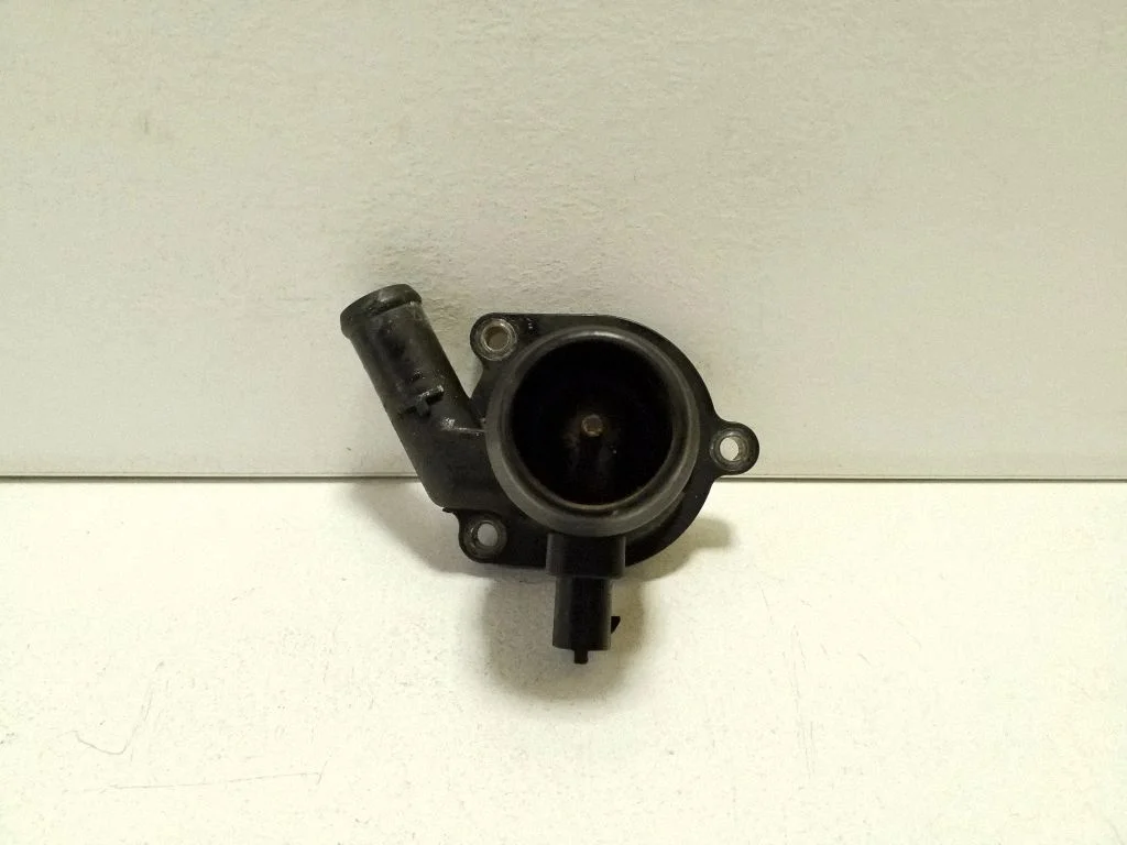 Termostaat / termostaadi korpus 55579010