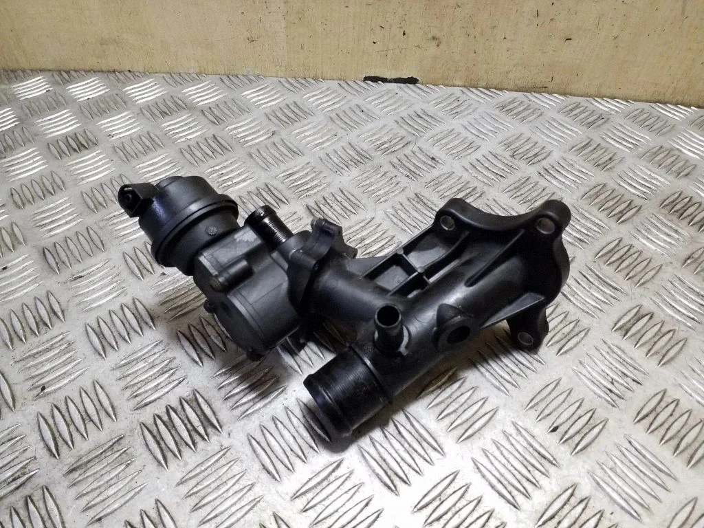 Thermostat/thermostat housing 110600686R