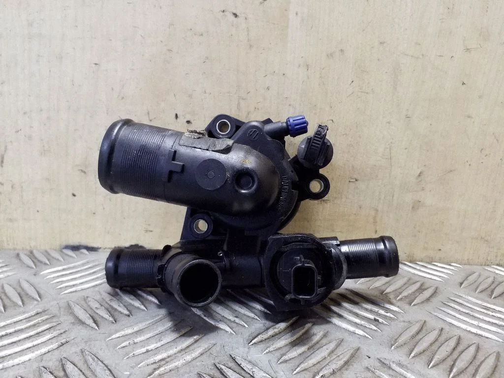 Thermostat/thermostat housing 8200907243C