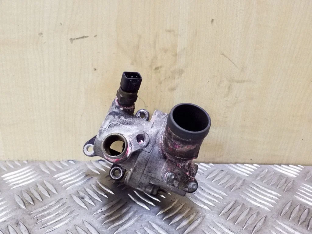 Thermostat/thermostat housing