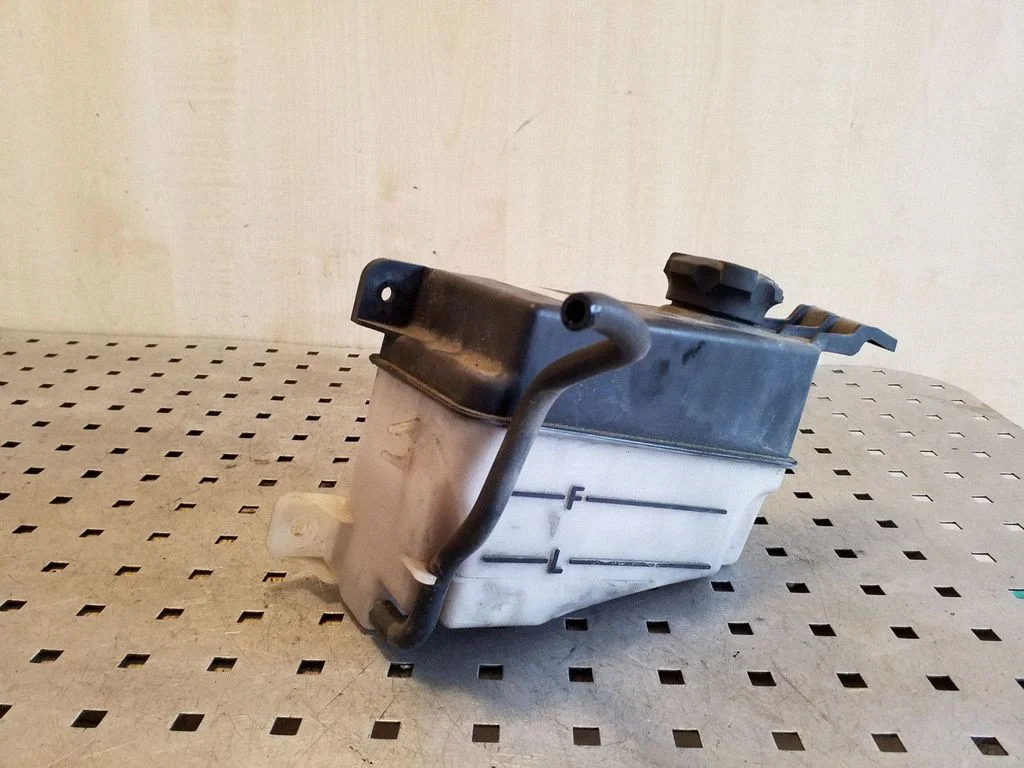 Coolant expansion tank/reservoir 254302B100