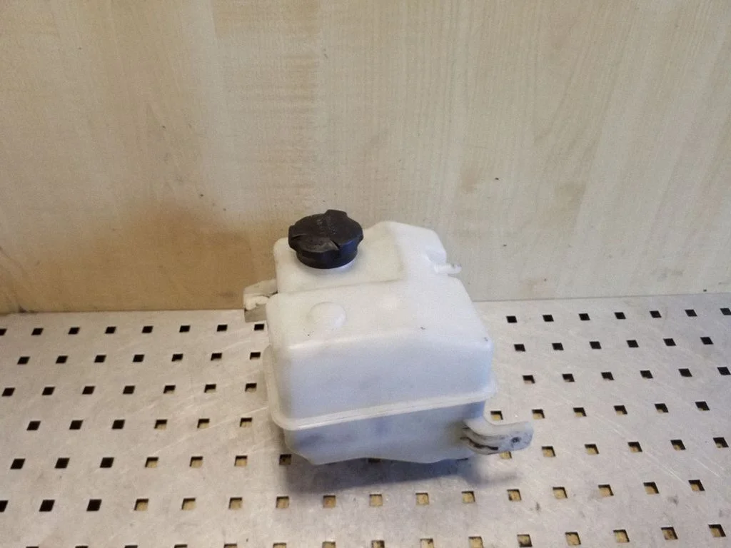 Coolant expansion tank/reservoir 254303Z100