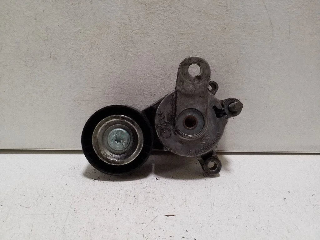 Generator/alternator belt tensioner E6919A110520D