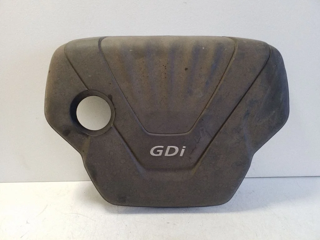 Engine cover (trim) 292402B600