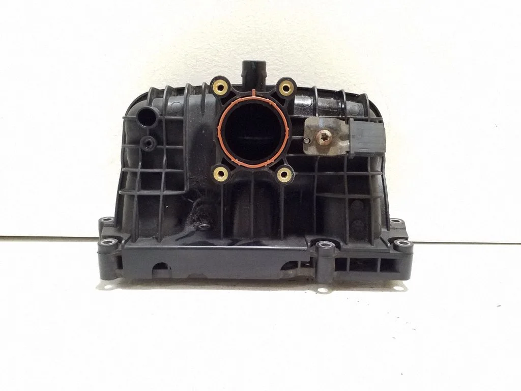 Intake manifold 10223309