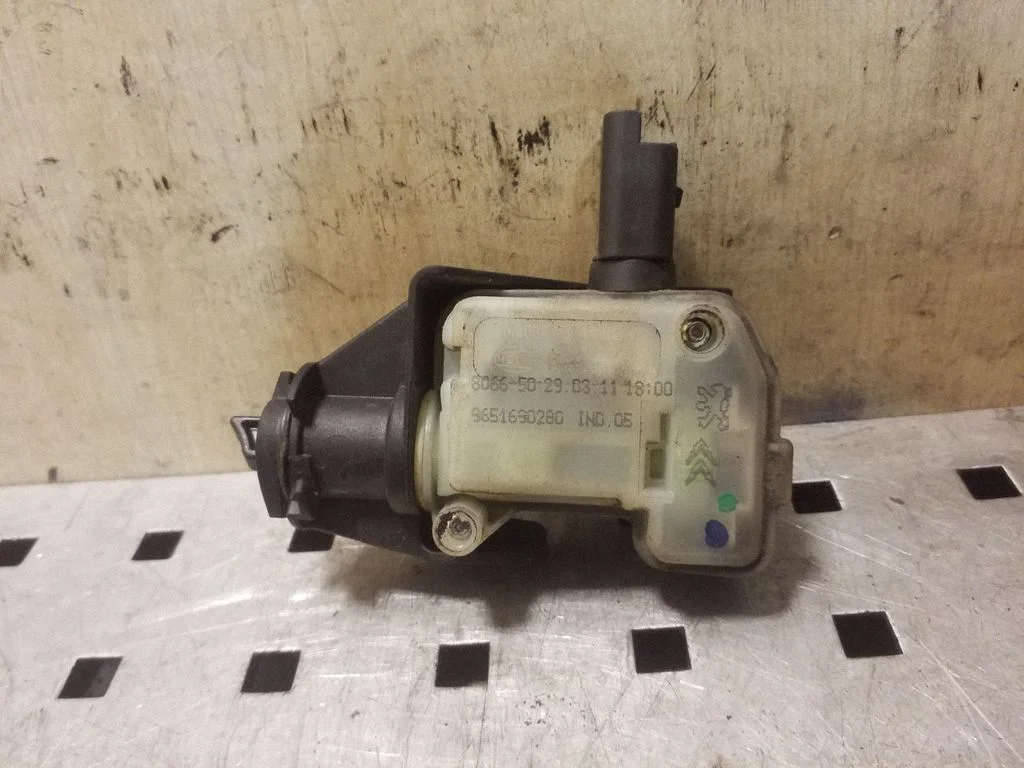 Kütusepaagi korgi lukk 9651690280