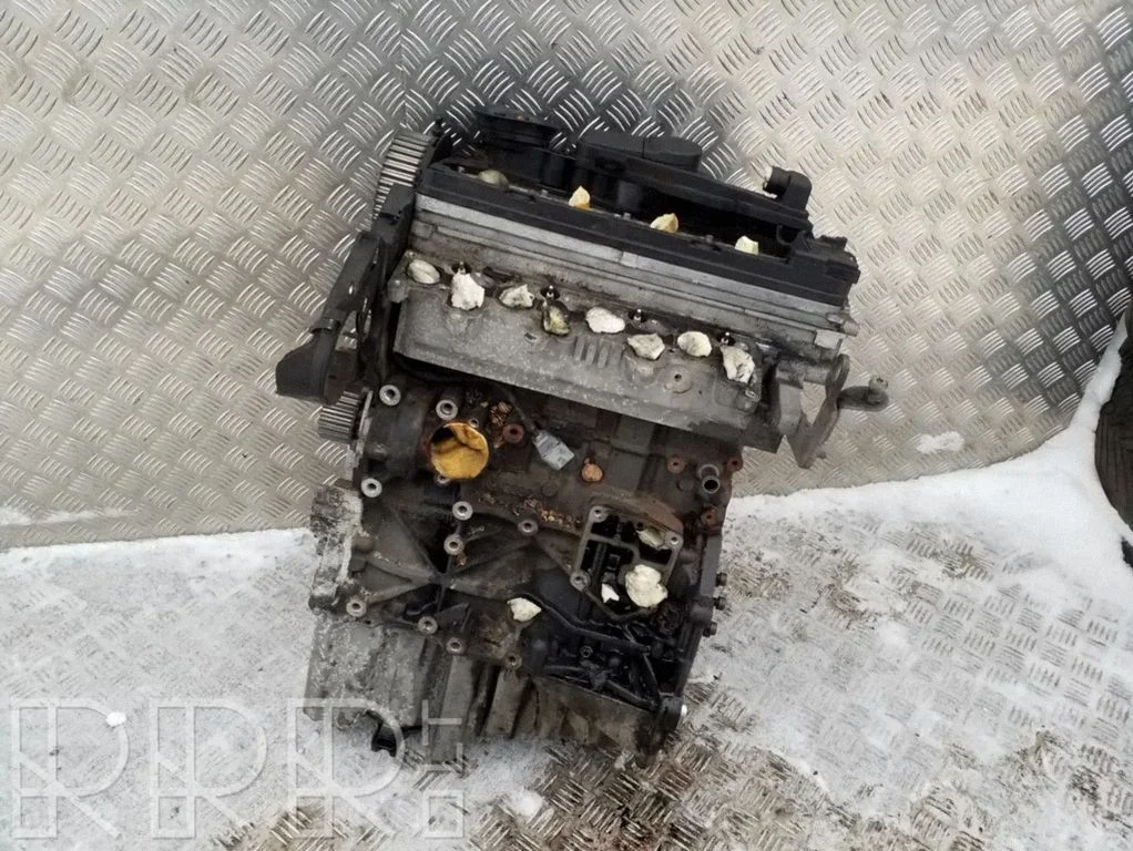 Mootor