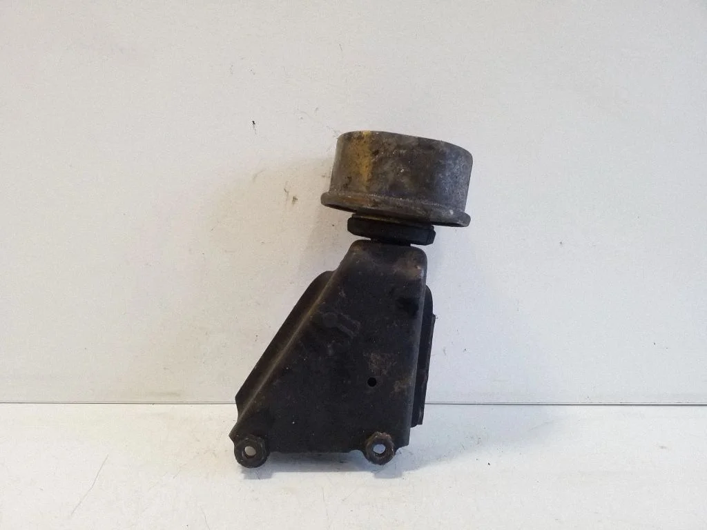 Engine mount bracket 701199201H
